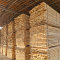 Timber Trade ltd