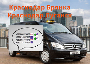 Брянка Краснодар перевозки. Брянка-Краснодар бус цена. Краснодар-Брянка расписание.