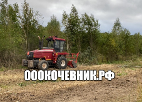 Вырубка, выкорчёвка, переработка в щепу деревьев и корней