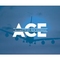 ALLIANCE CARGO EXPRESS