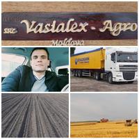 vasileguzun91