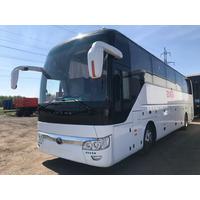 zlatbus174