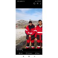 Zaur