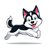 Balto Express
